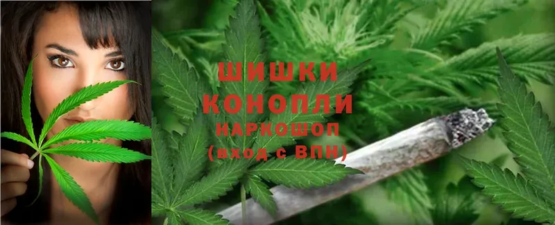 купить   Советская Гавань  Марихуана OG Kush 